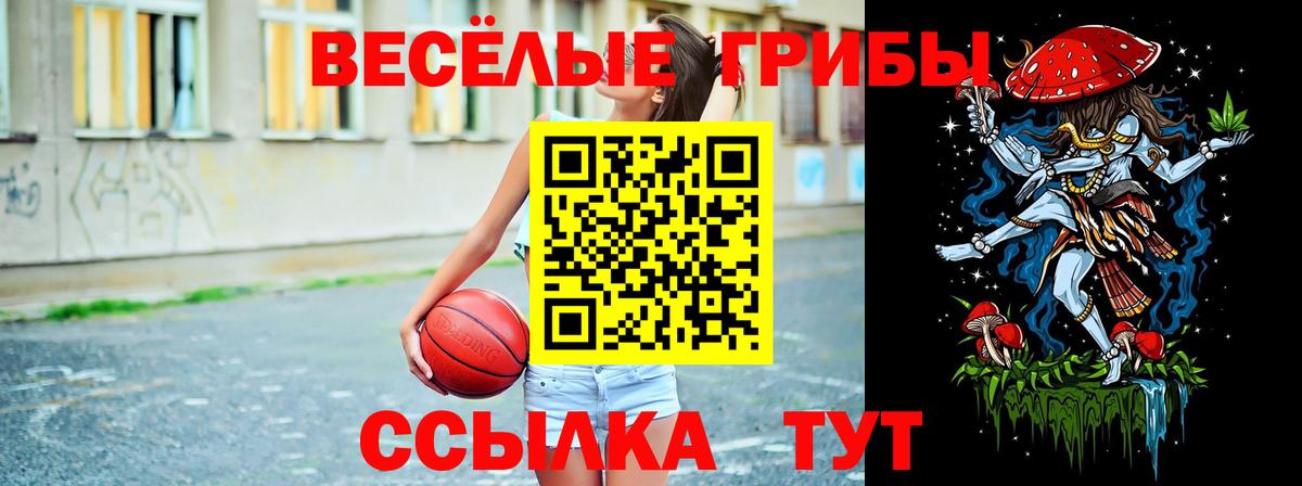 Псилоцибиновые грибы прущие грибы Десногорск