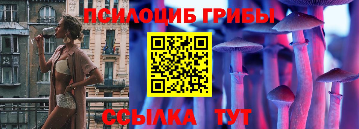 Десногорск  Галлюциногенные грибы GOLDEN TEACHER  Вход с VPN 
